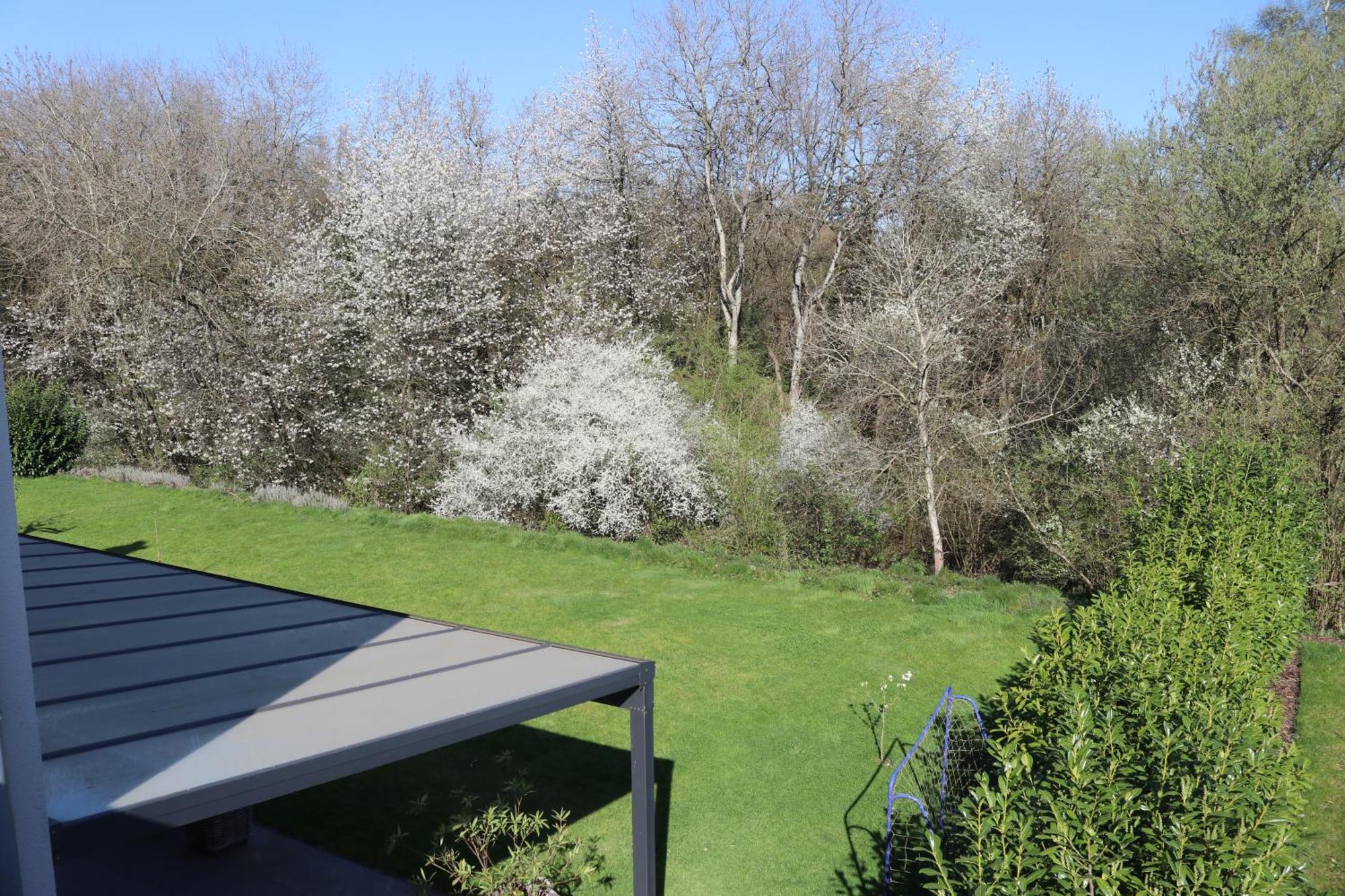 Ferienwohnung Nalbach Wohnung 1 外观 照片